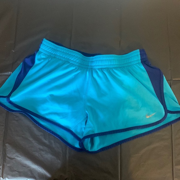 Nike Pants - Nike Dri-Fit blue shorts